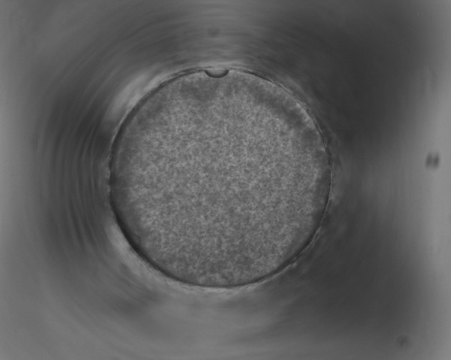 X0000116610002200912312127