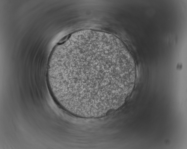 X0000116610003200912312127