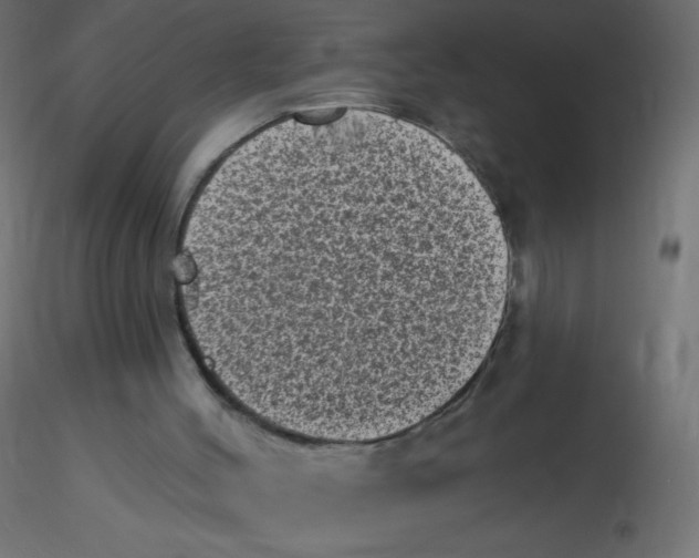 X0000116610004200912312127