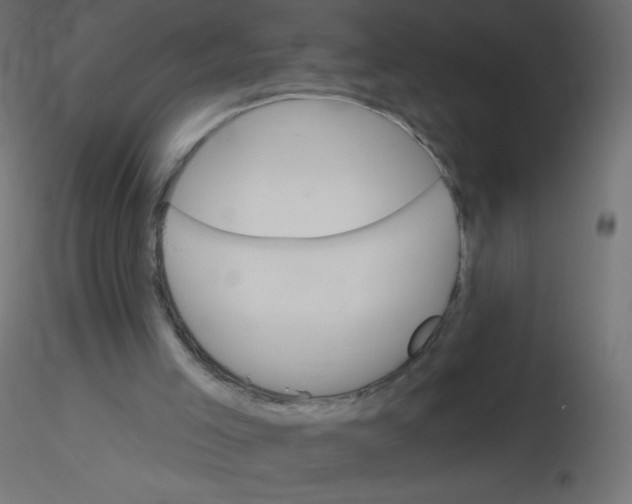 X0000116610005200912312127