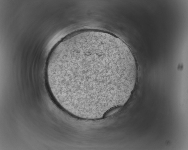 X0000116610007200912312127