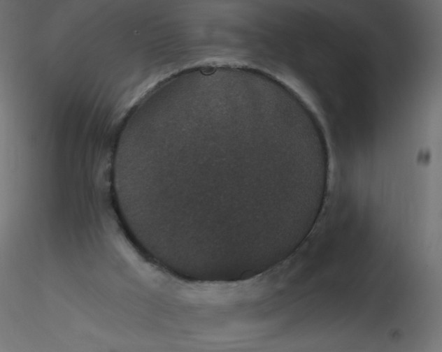 X0000116610009200912312127