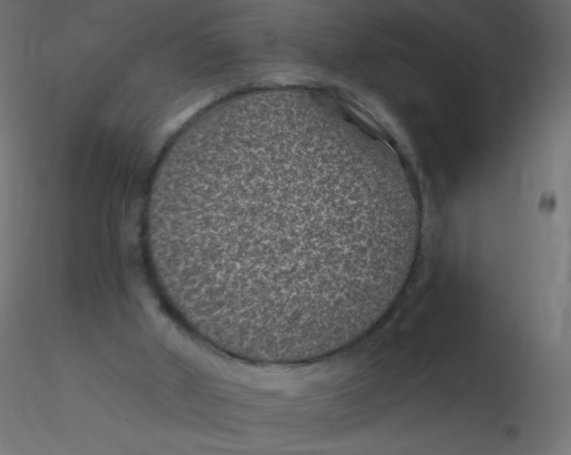 X0000116610010200912312127