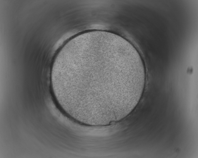 X0000116610011200912312127