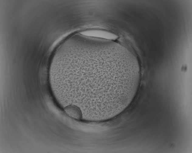 X0000116610012200912312127