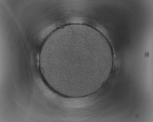 X0000116610013200912312127