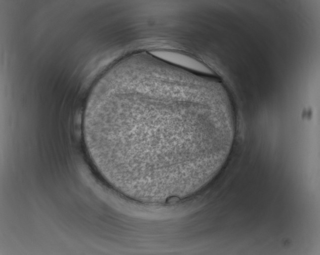 X0000116610014200912312127