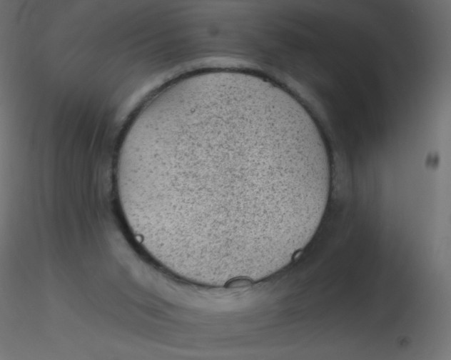 X0000116610015200912312127