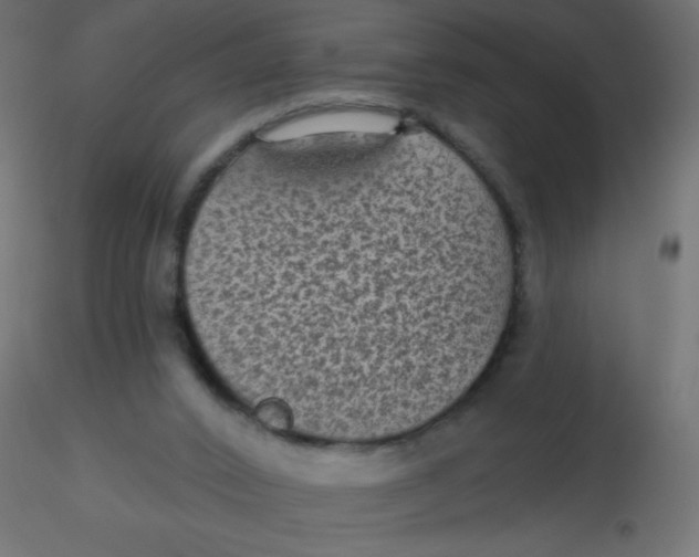 X0000116610016200912312127