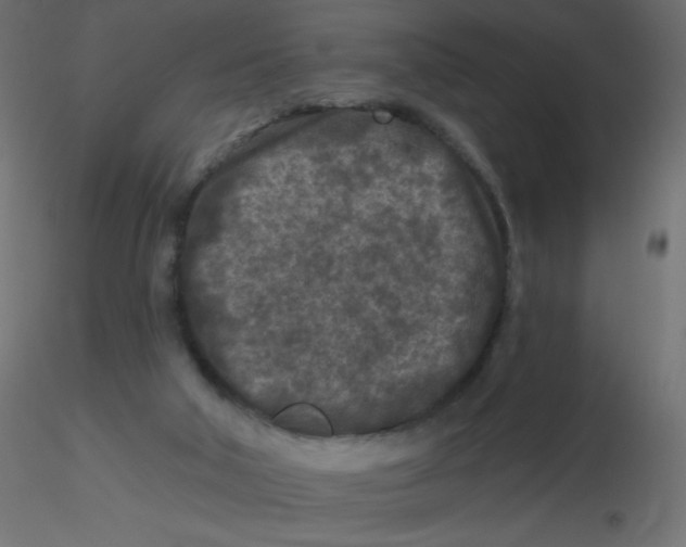 X0000116610018200912312127