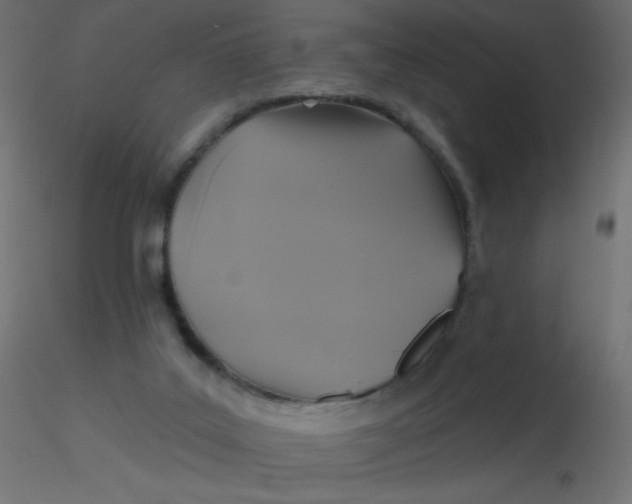 X0000116610019200912312127