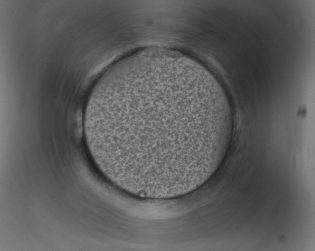 X0000116610020200912312127