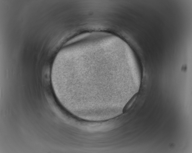 X0000116610021200912312127