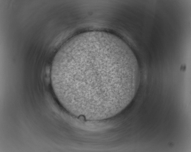 X0000116610022200912312127