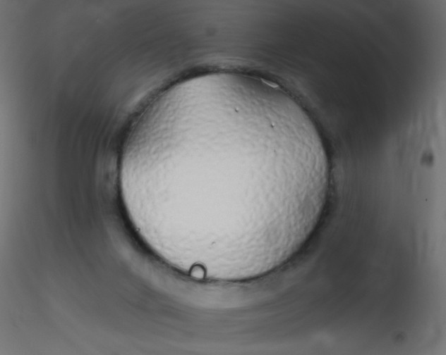 X0000116610024200912312127