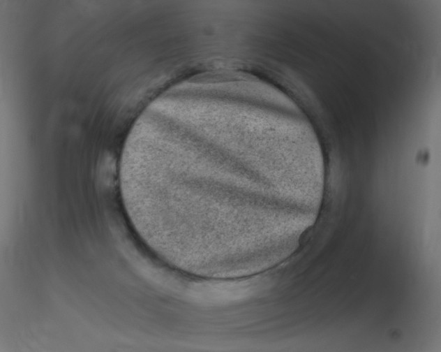 X0000116610025200912312127