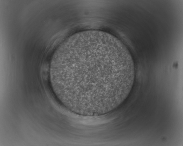 X0000116610026200912312127