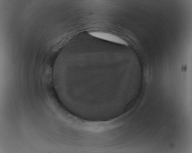 X0000116610029200912312127