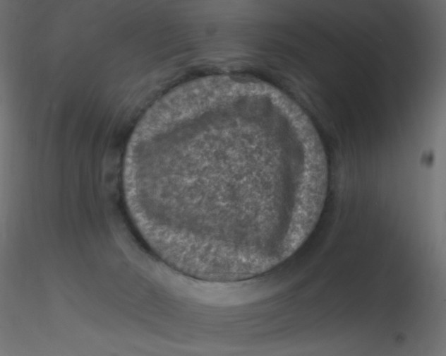 X0000116610030200912312127