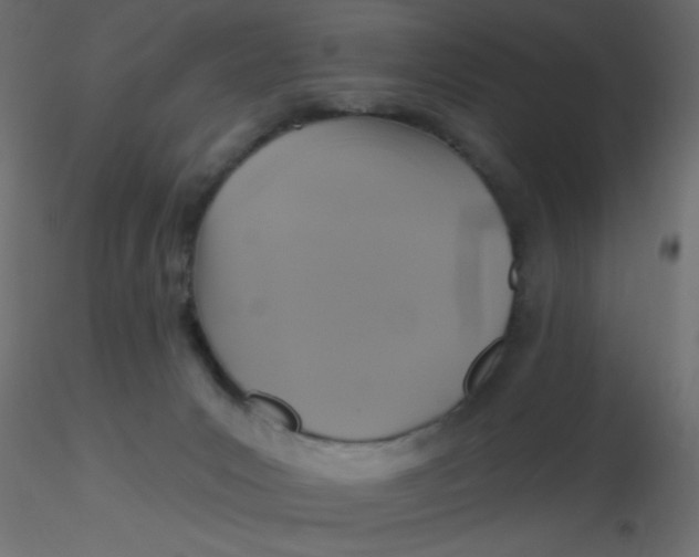 X0000116610031200912312127