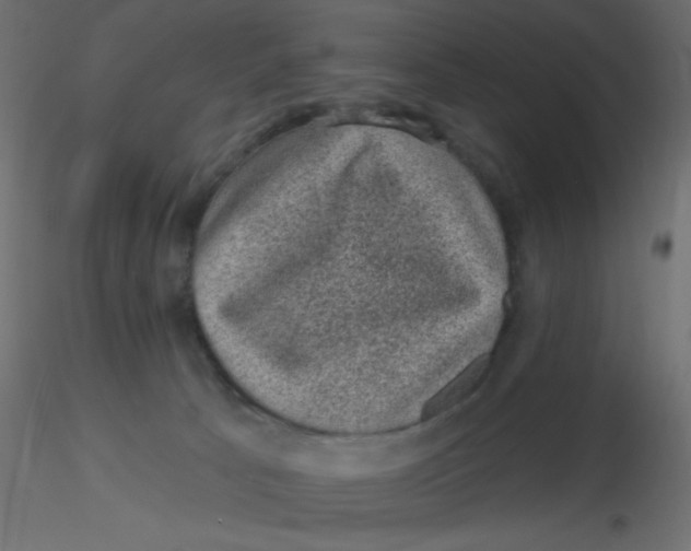 X0000116610033200912312127