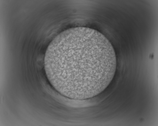 X0000116610034200912312127