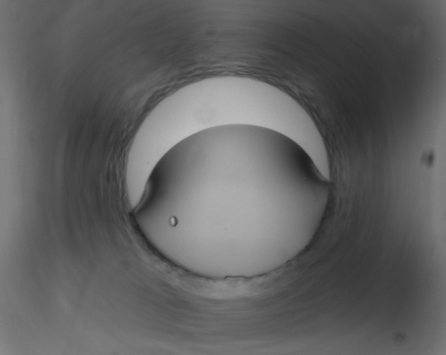 X0000116610037200912312127