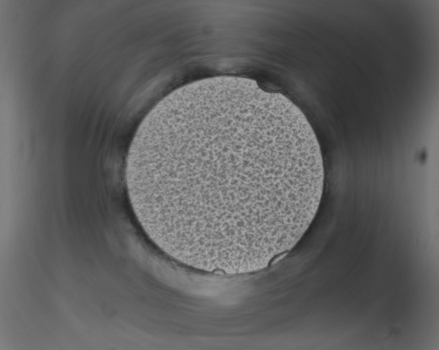 X0000116610044200912312127