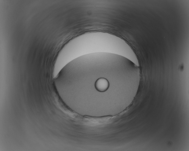 X0000116610045200912312127