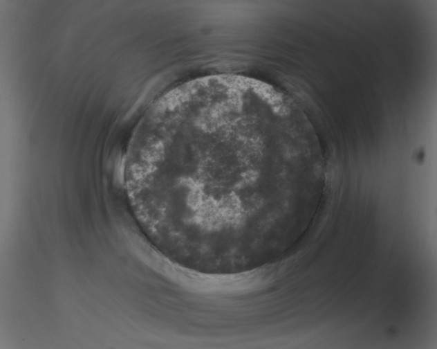 X0000116610046200912312127