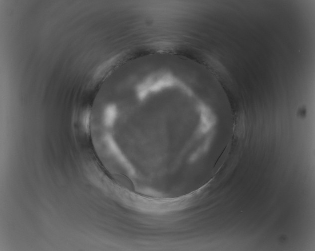 X0000116610047200912312127