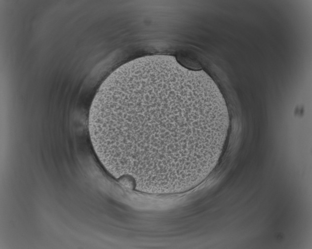 X0000116610048200912312127