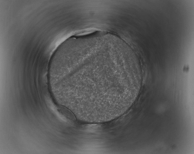 X0000116610050200912312126