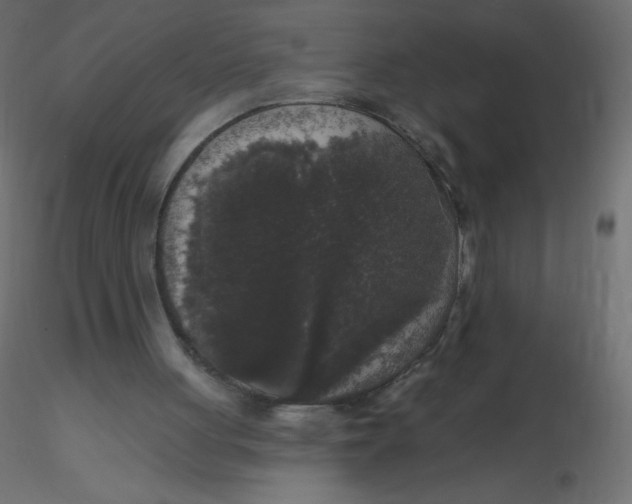 X0000116610051200912312126