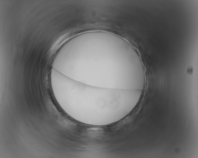 X0000116610053200912312126