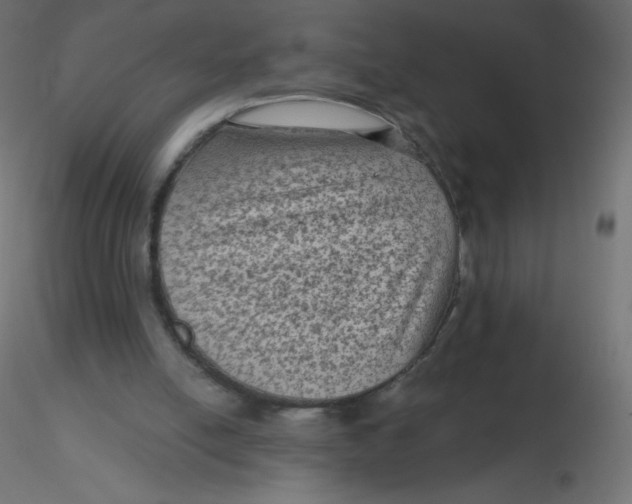 X0000116610054200912312126