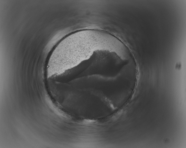 X0000116610055200912312126