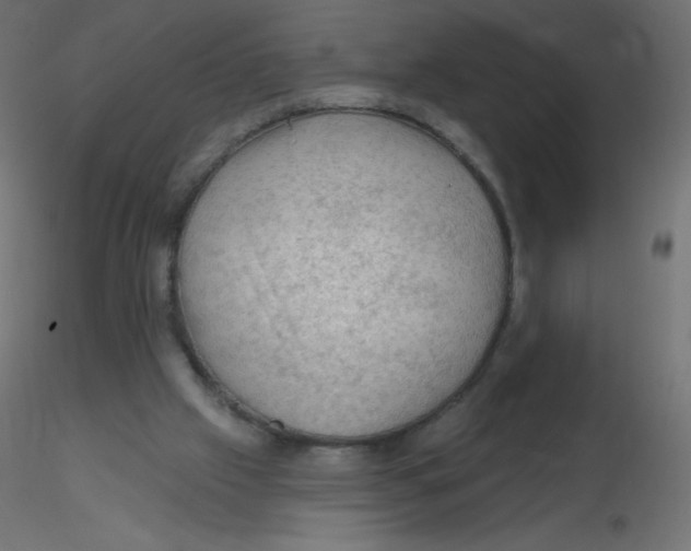 X0000116610057200912312126