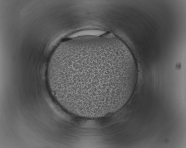 X0000116610058200912312126