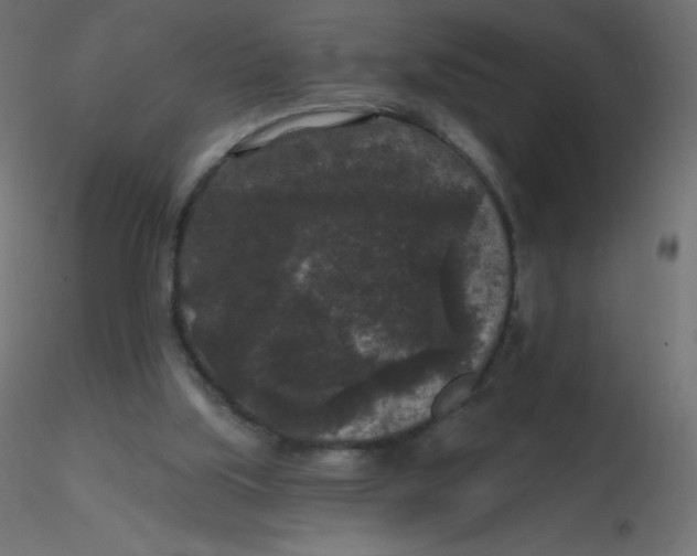 X0000116610059200912312126