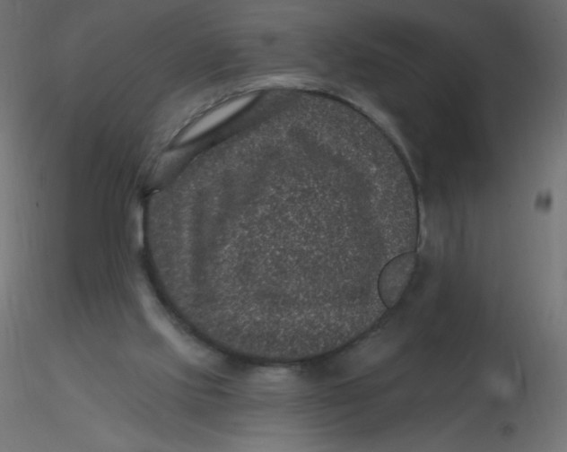 X0000116610061200912312126