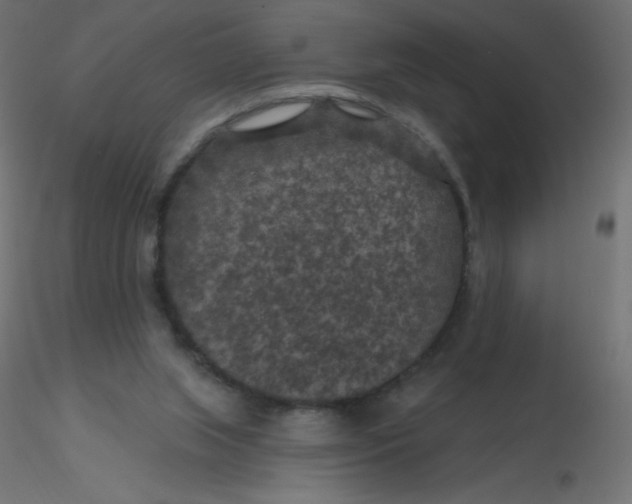 X0000116610063200912312126