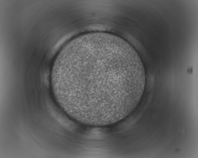 X0000116610064200912312126