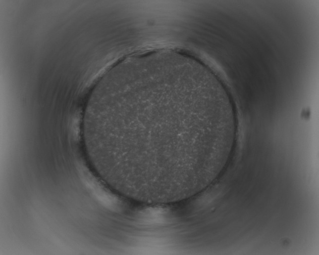 X0000116610065200912312126