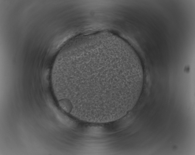 X0000116610066200912312126