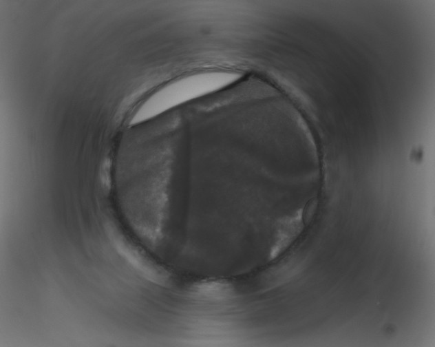 X0000116610067200912312126