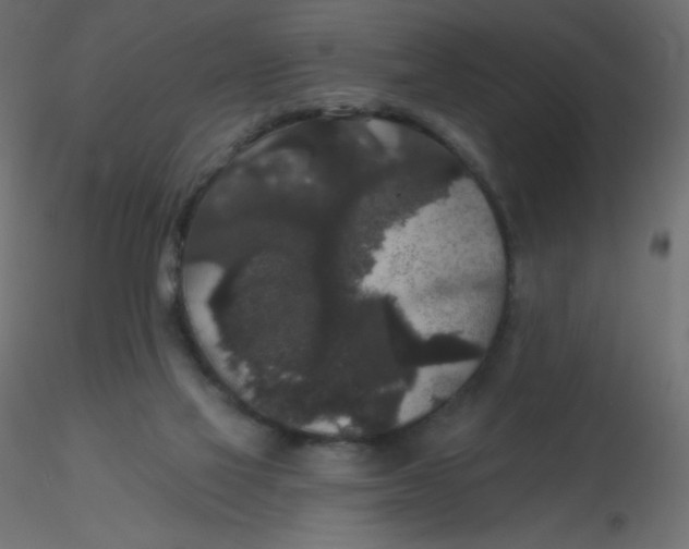 X0000116610069200912312126