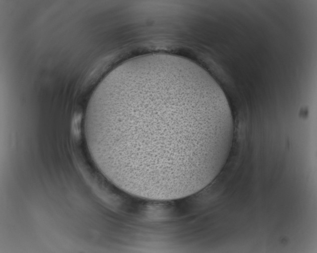 X0000116610070200912312126