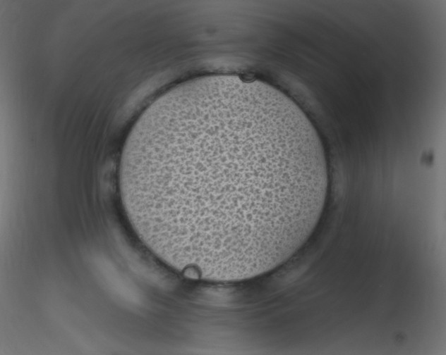 X0000116610071200912312126