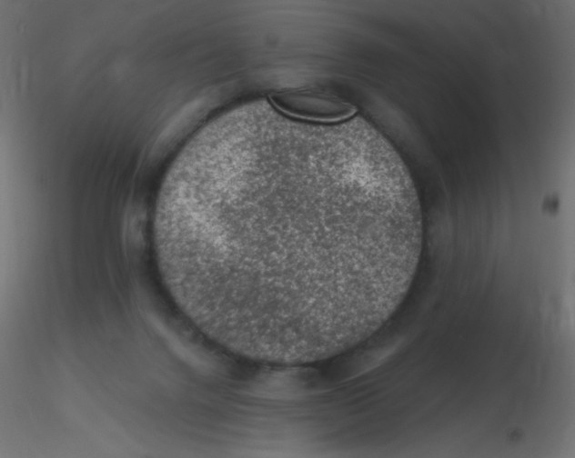 X0000116610072200912312126